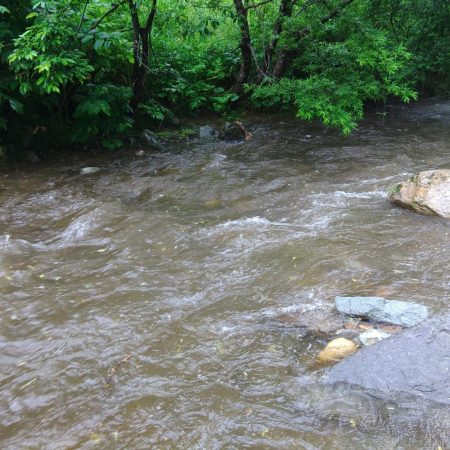 渇水→濁流 ～九頭竜川水系～
